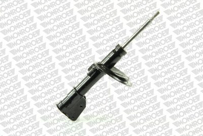 MONRG16725